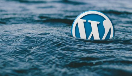 Les 3 meilleurs outils pour scanner un site WordPress
