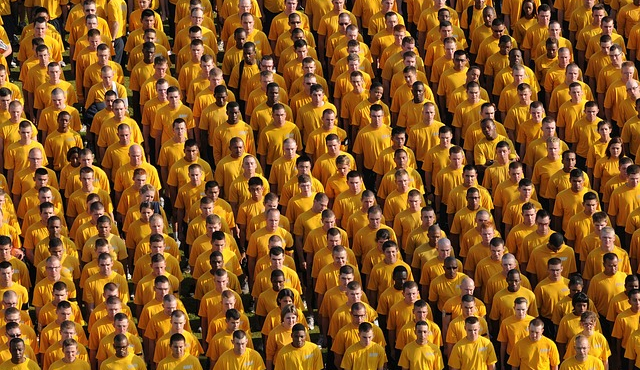 Comment attirer du trafic sur son magazine Corporate ?