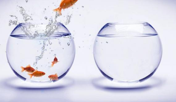La Notion de "Disruptif" : Définition, Origine, Enjeux et Exemples Clés
