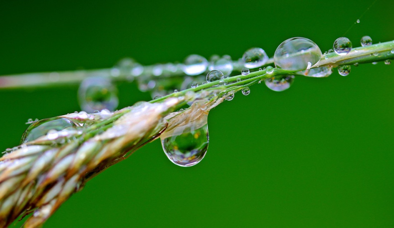 [Définition] Lead Nurturing, cette stratégie pour attirer des prospects qualifiés